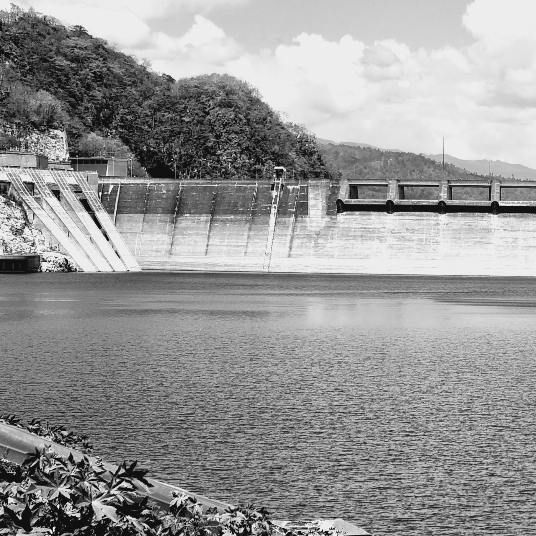 Desinsectación FUMIZA