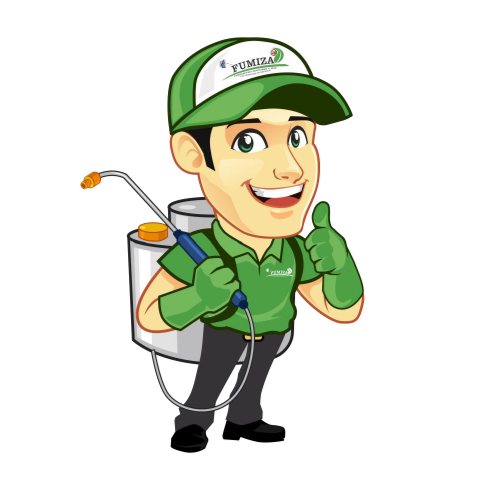 Equipo profesional FUMIZA