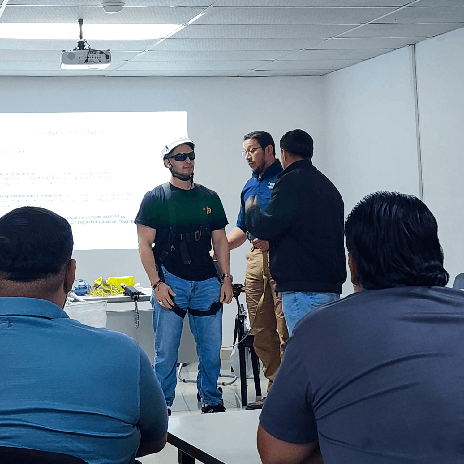 Programas de Formación y Capacitación Profesional en MIP en Honduras — FUMIZA